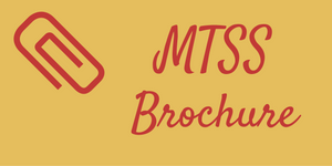 MTSS Brochure 